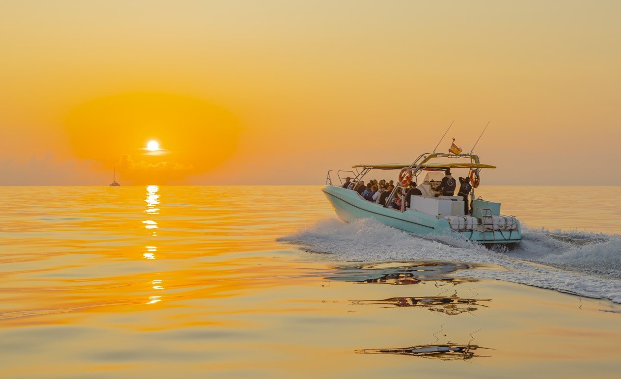 Delfine springen im Meer