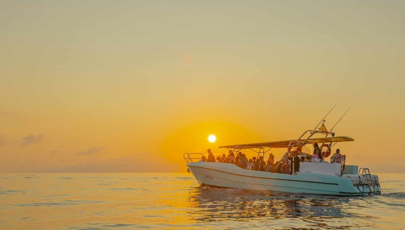 Mallorca Katamaran mit Kueste Aussicht