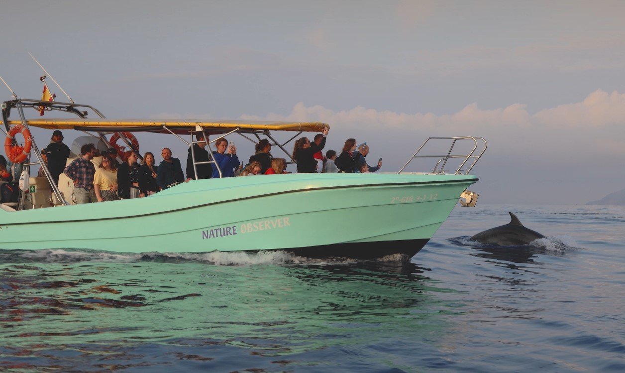 Boot mit 36 Plätzen