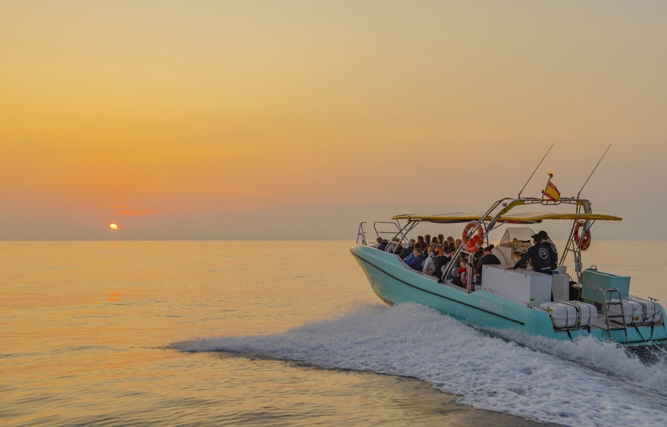 Delfinbeobachtung mit dem Boot