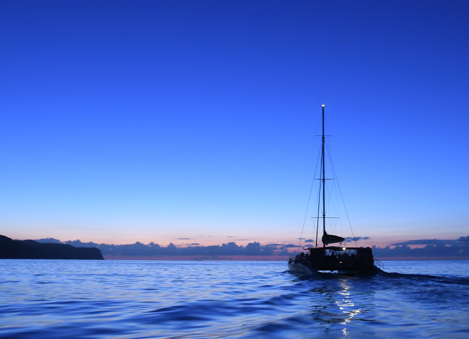 wilde delfine robinson katamaran