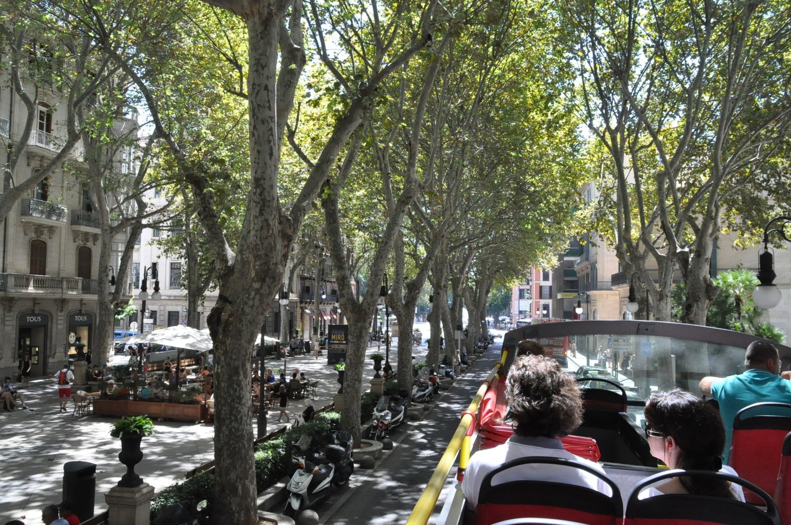 City Sightseeing Bus in Palma