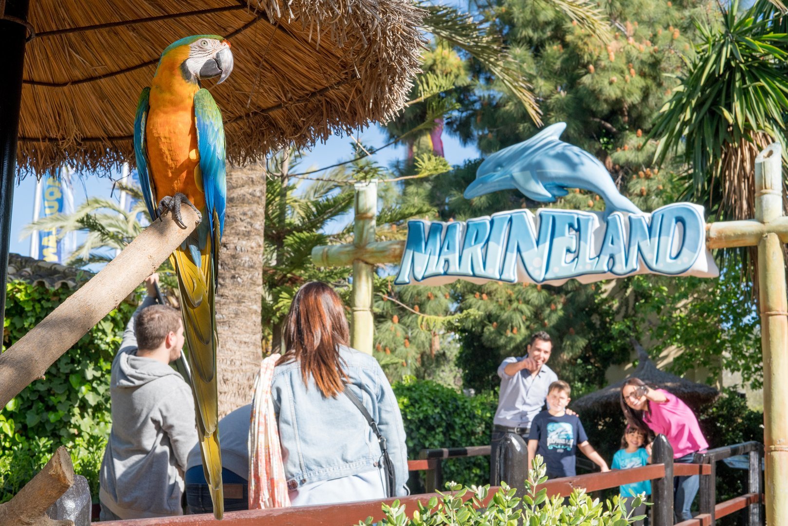 Eintritt zum Marineland