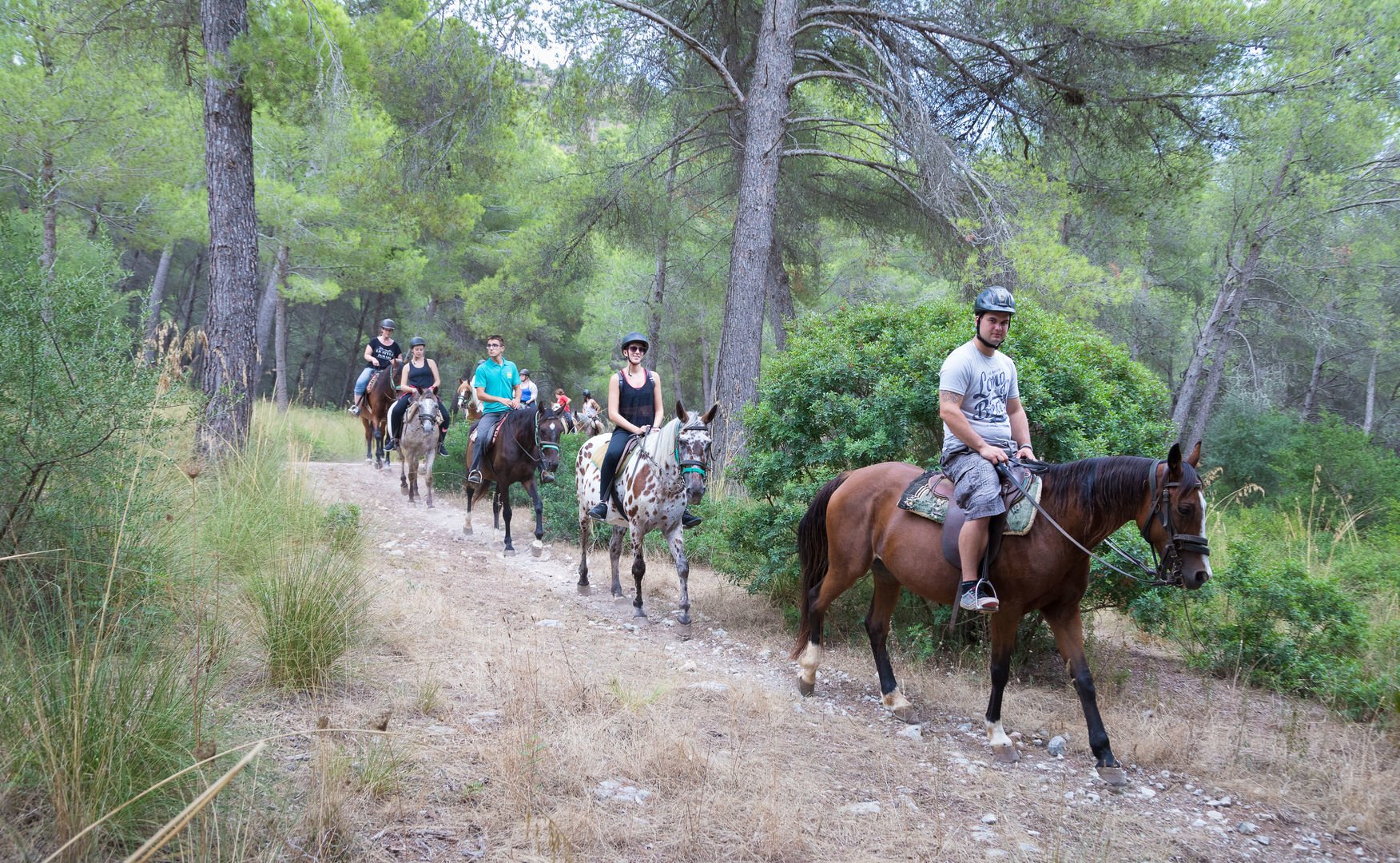 Mallorca Reiten