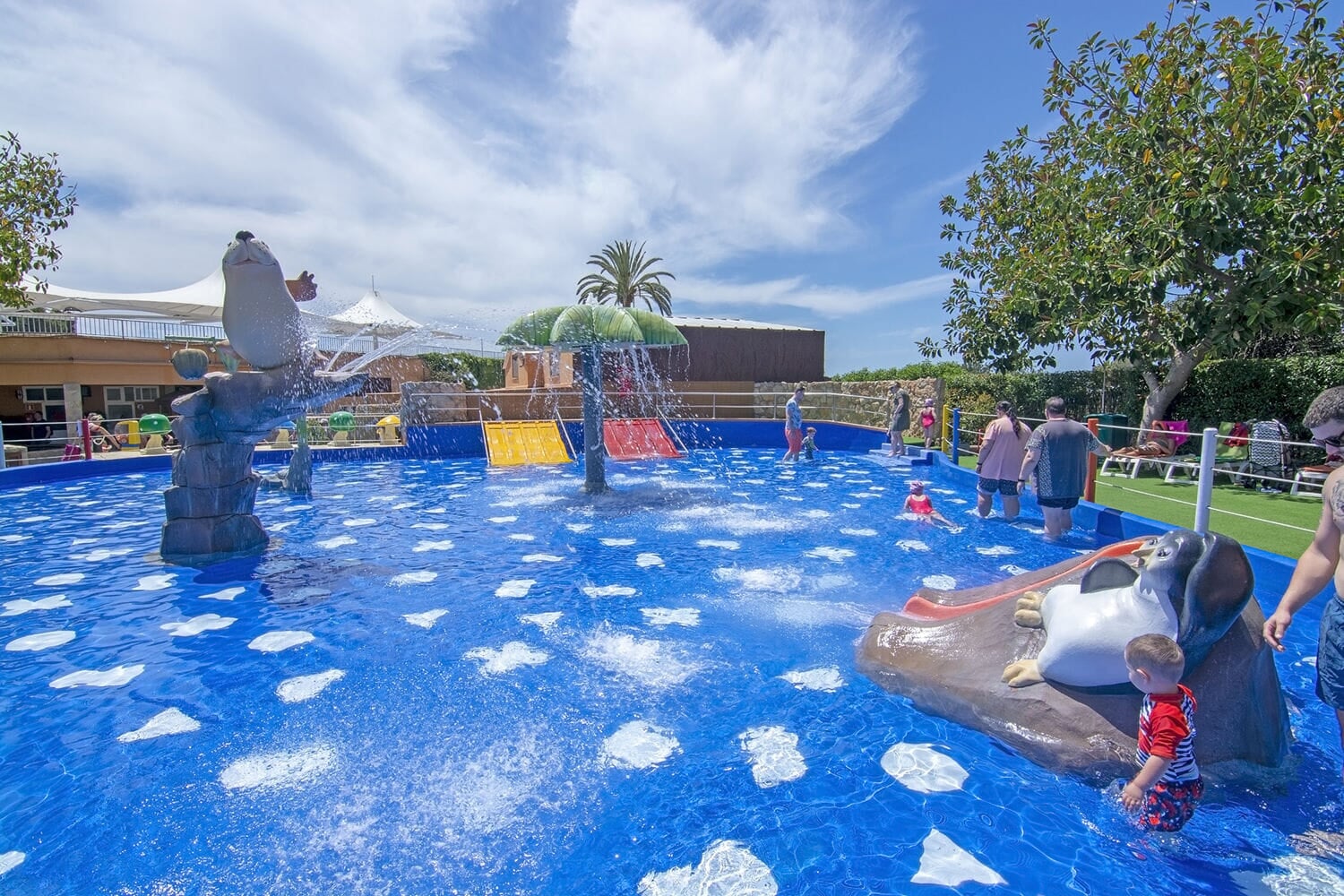 Pinguine im Marineland