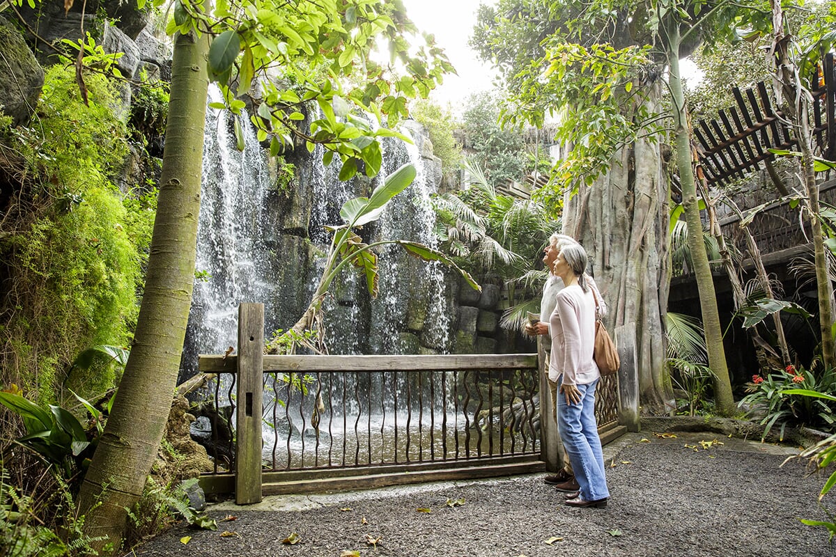 Dschungel im Palma Aquarium