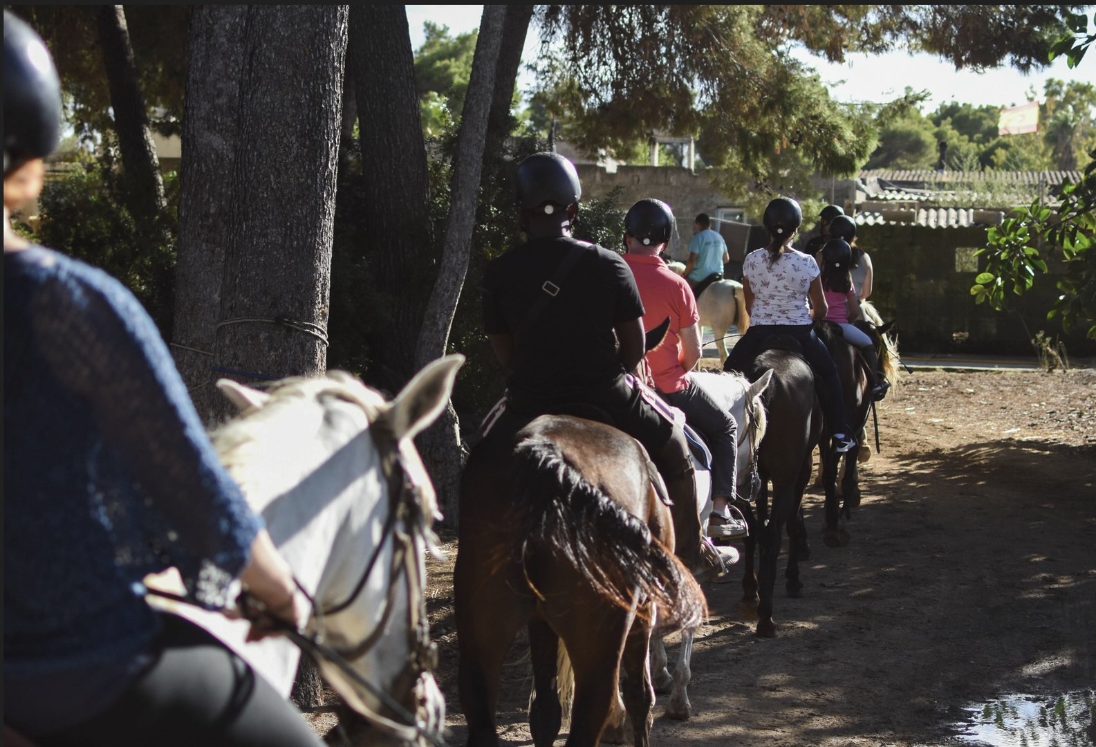 Rancho Ses Roques in Alcudia