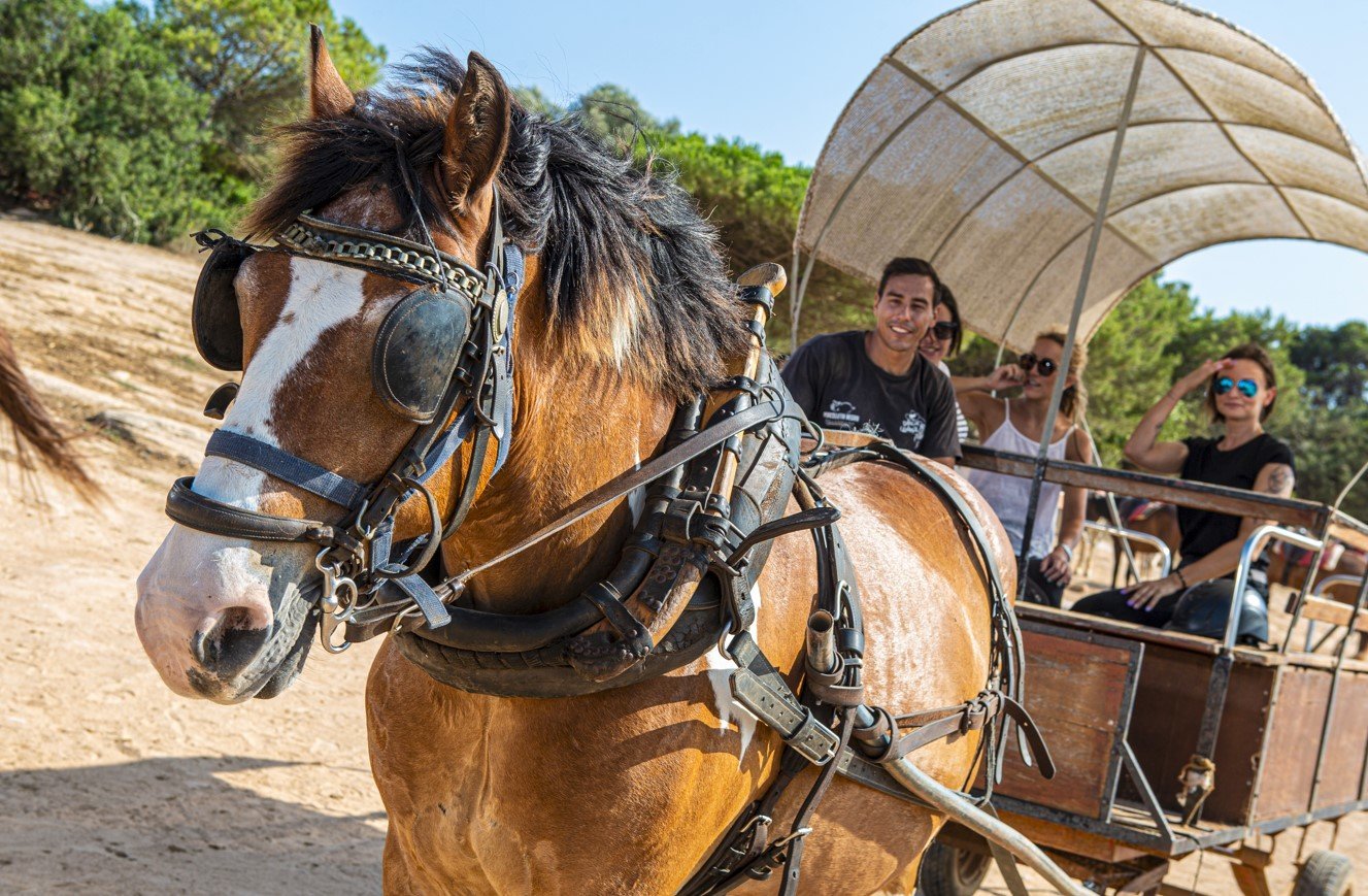 Rancho Grande Waggon Ausflug