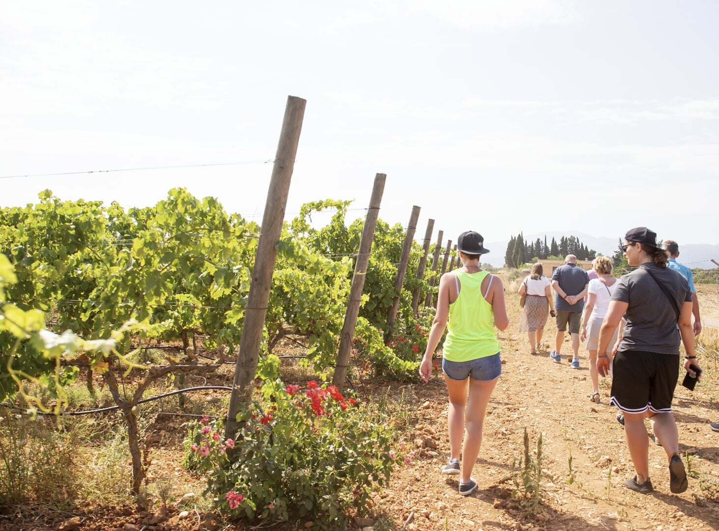 Weinprobe im Weinkeller