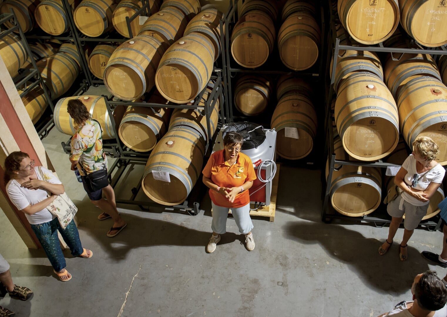 mallorcan wine cellar visit with barrels