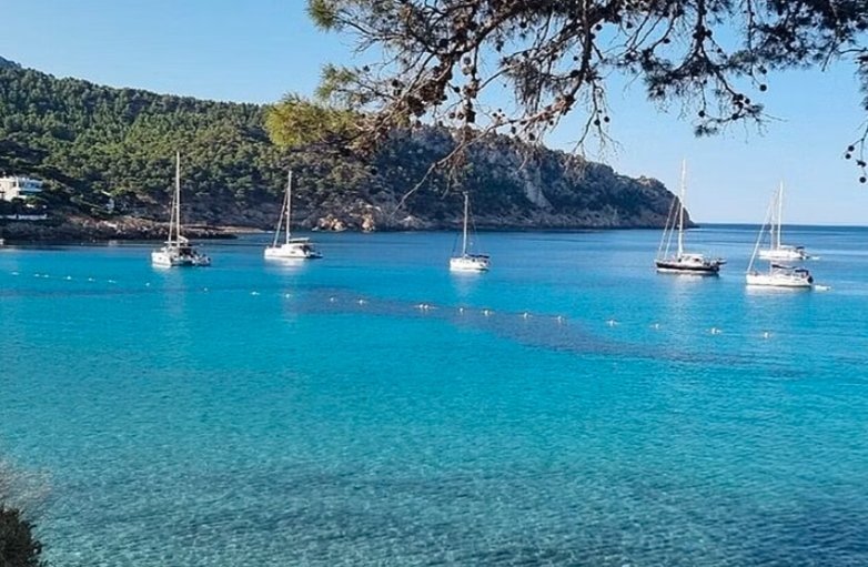 cove catamaran