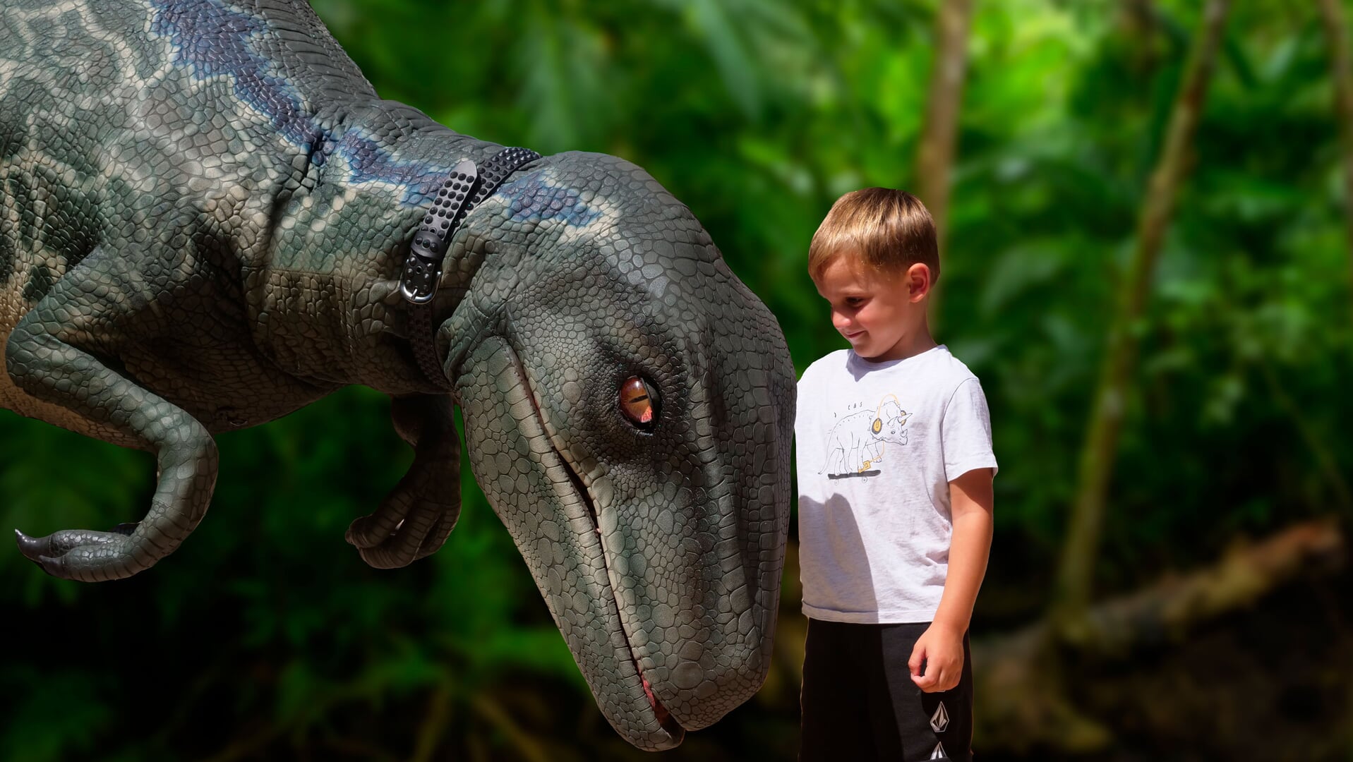 Boy touching a dino