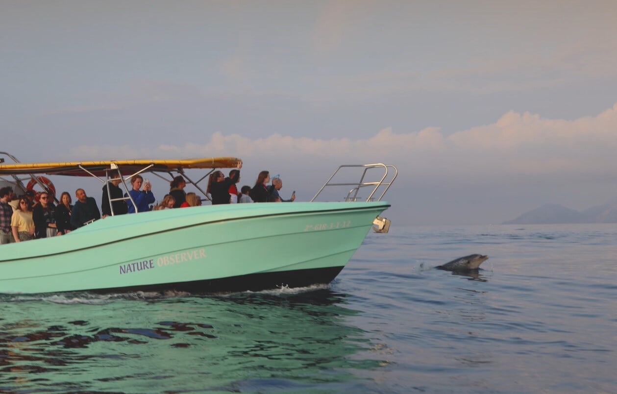 dolphin watching + sunrise