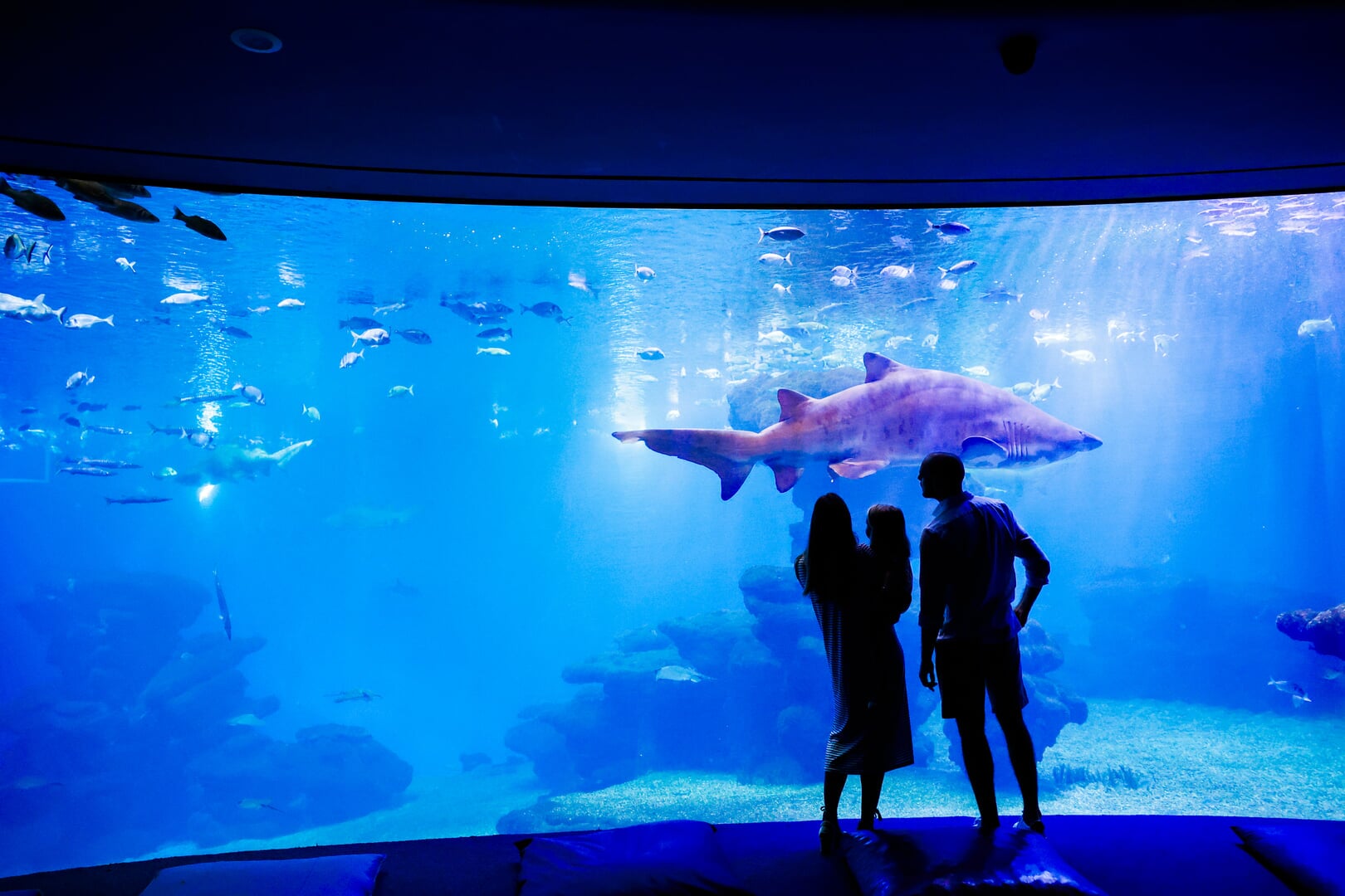 under water corridor