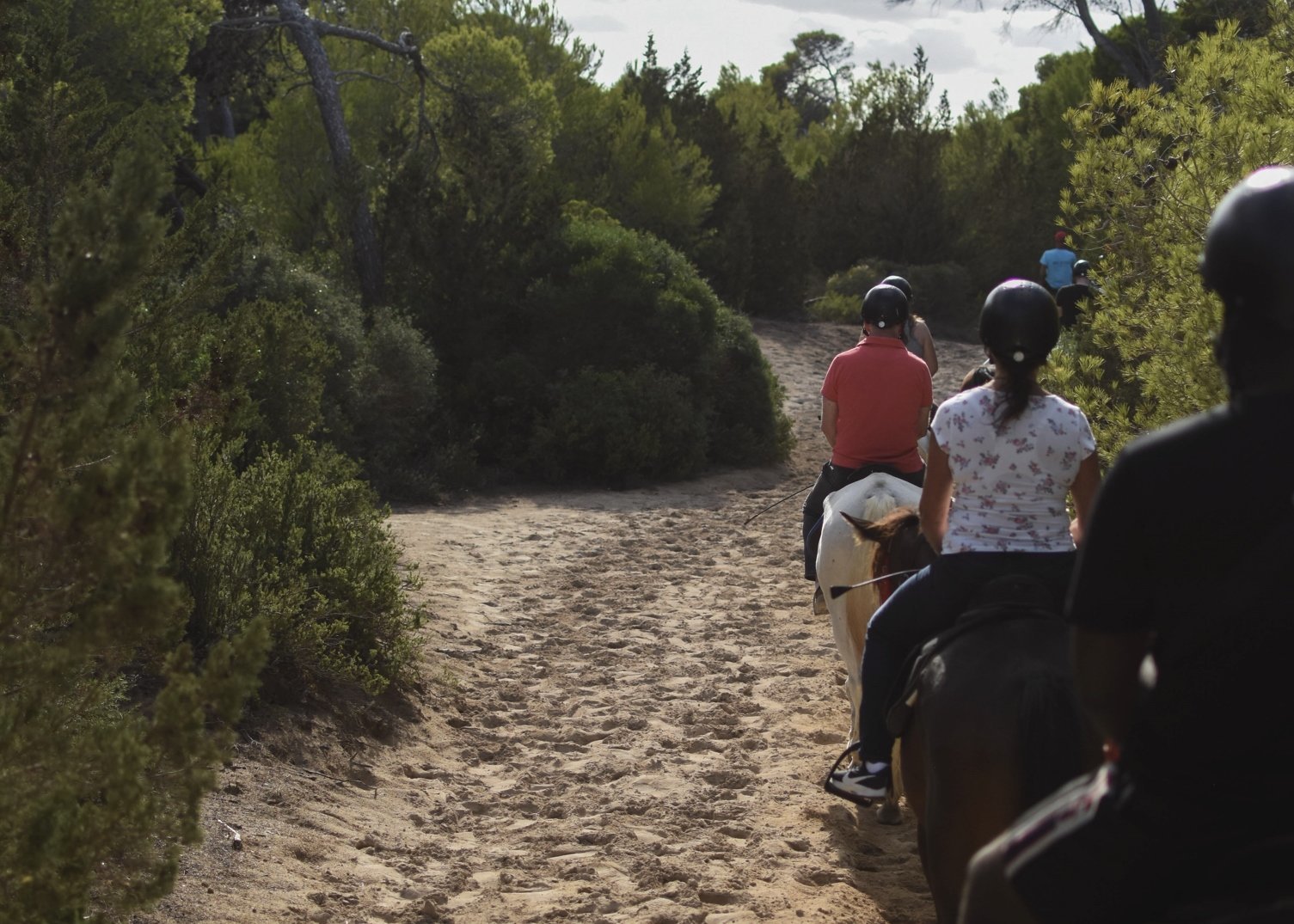 riding with groups