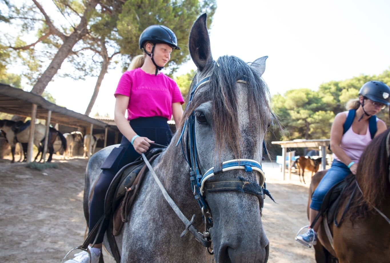 horse riding can picafort