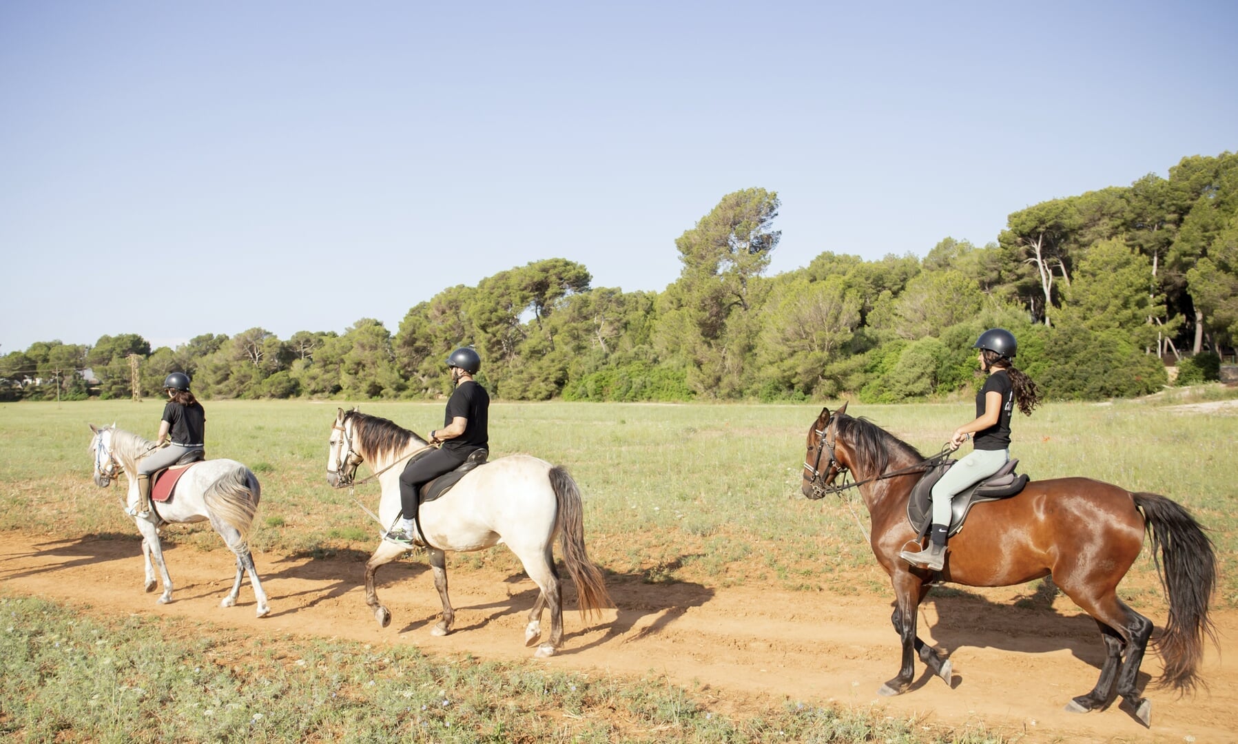 horse riding on the beach can picafort