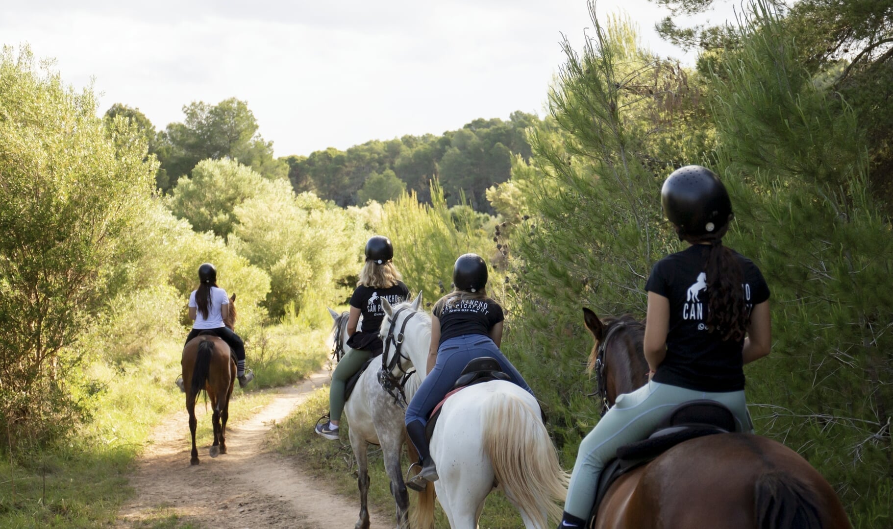 Horse riding for all levels in Can Picafort