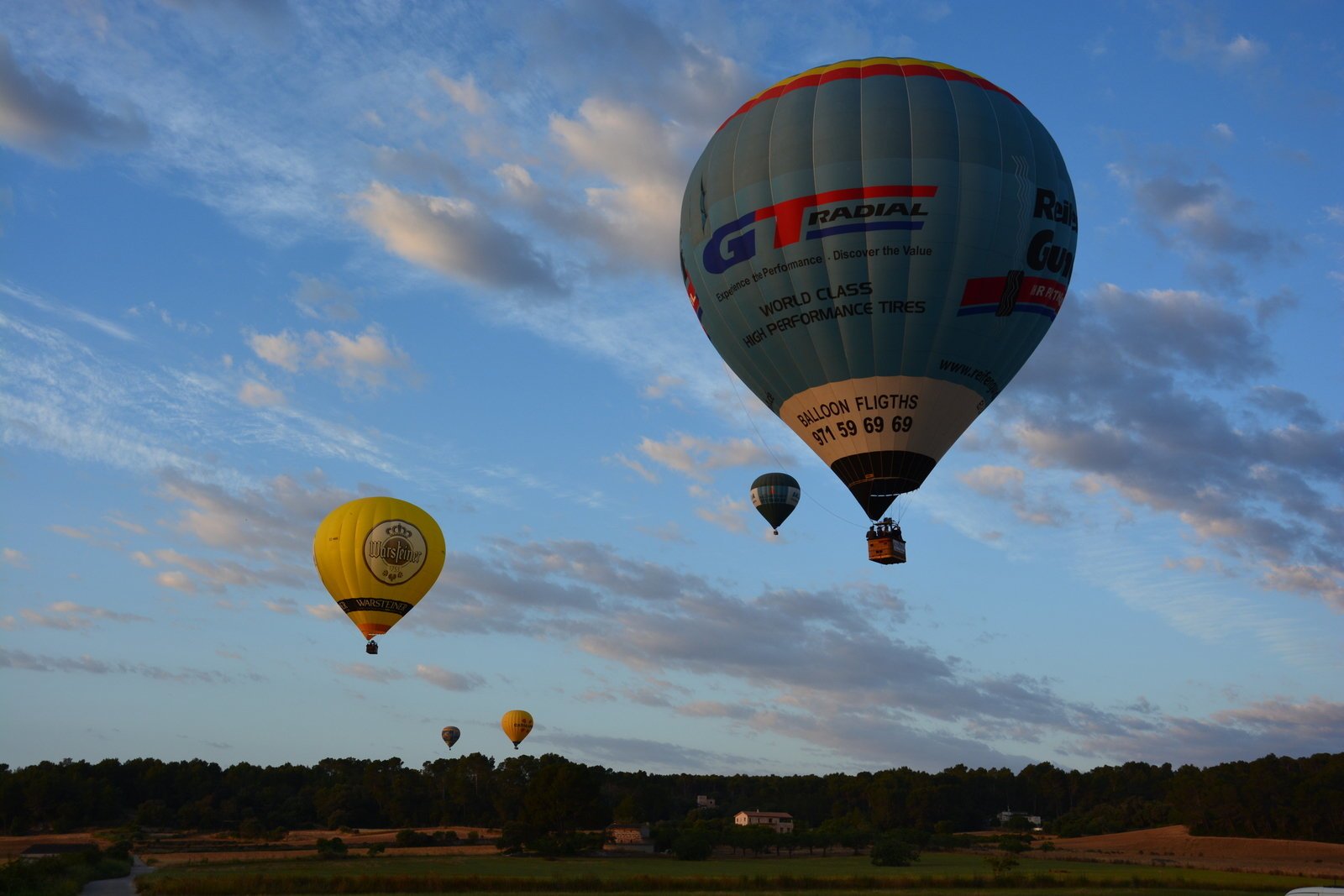 balloons in the air