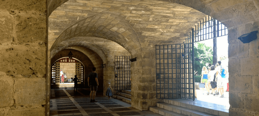 discover palma ticket