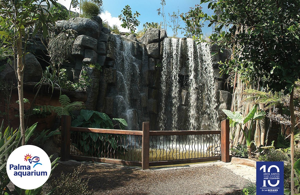  Feel like you're in a real jungle