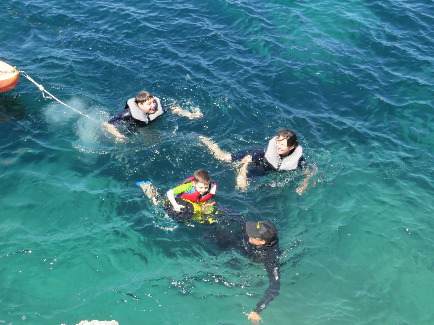 water activity