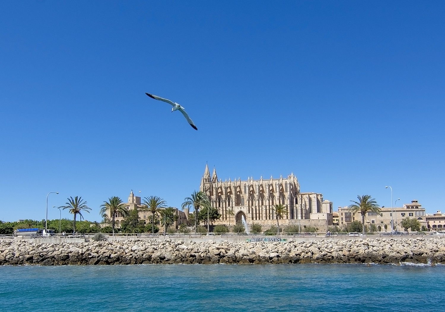 cathedral in Palma de Mallorca