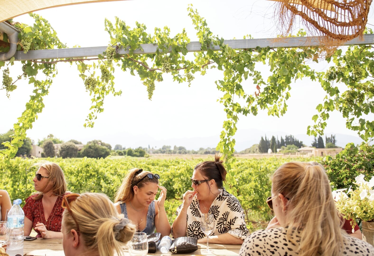 winecellar visit in Mallorca