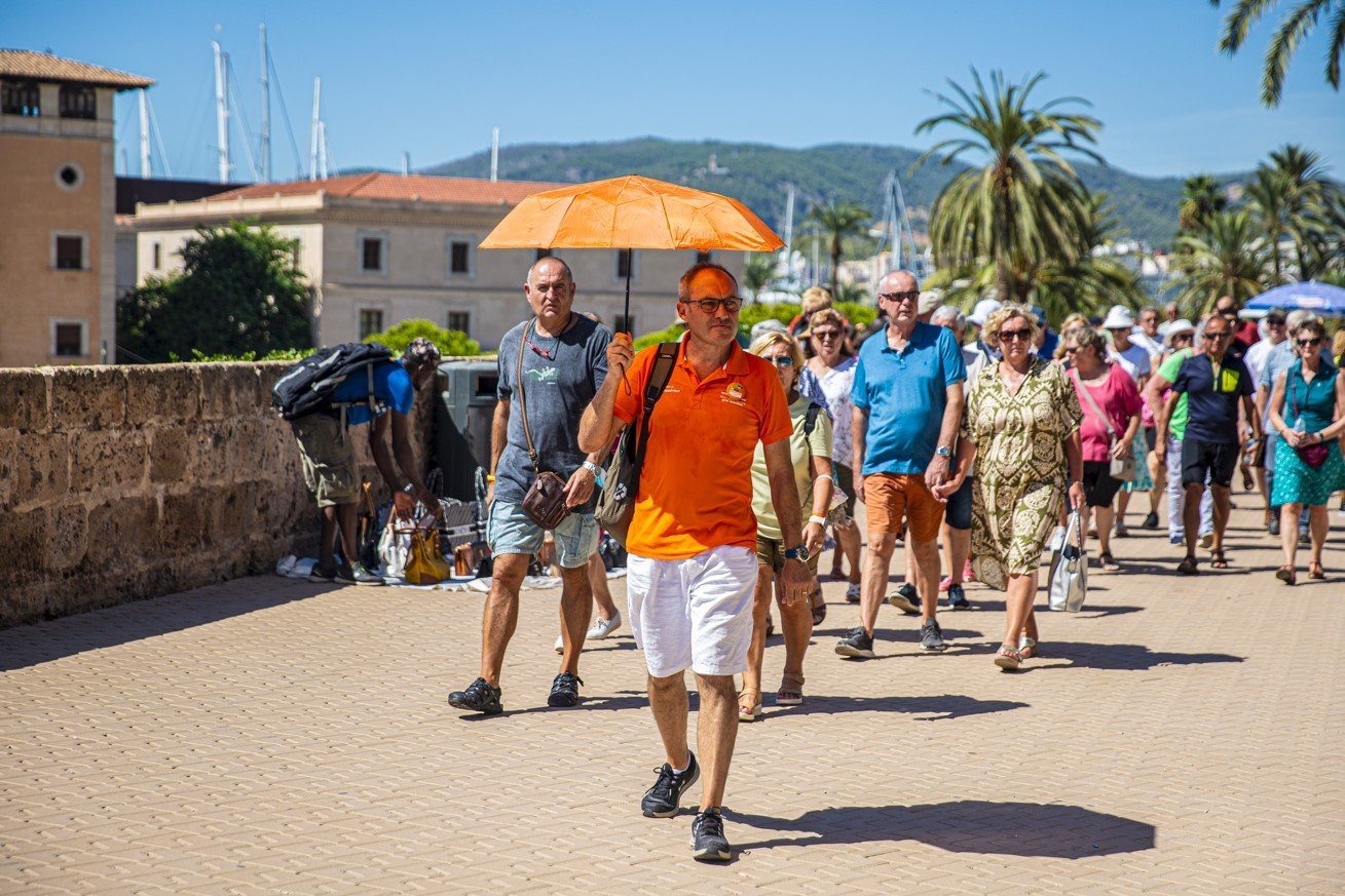 Open top bus tour in Palma