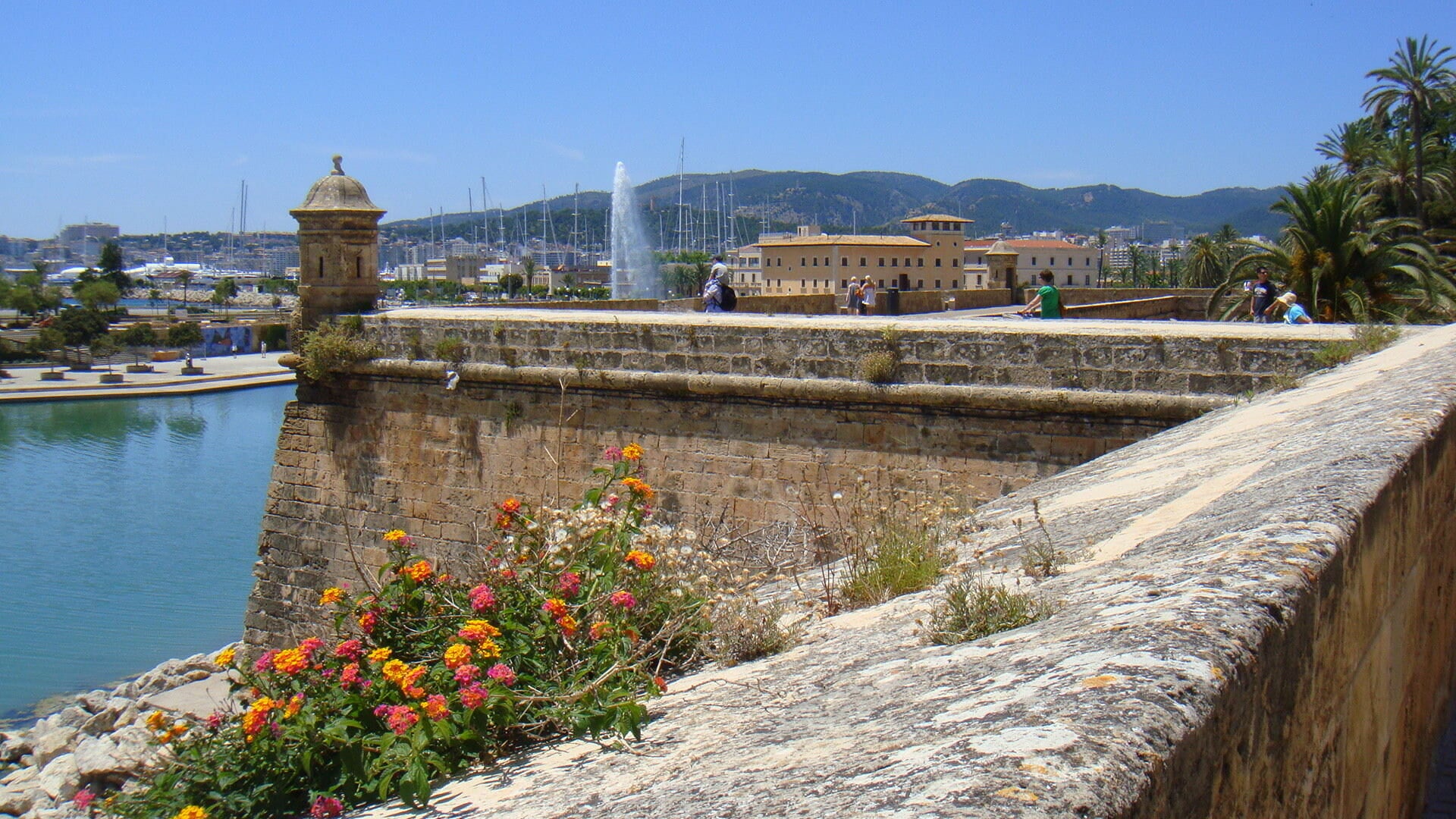 panorama from the cathedral