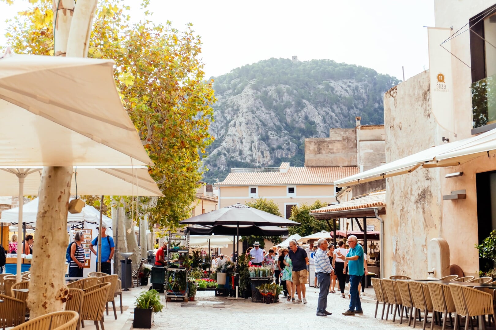 Mountain Pollensa