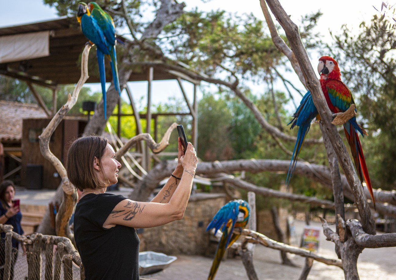 wagon ride rancho grande