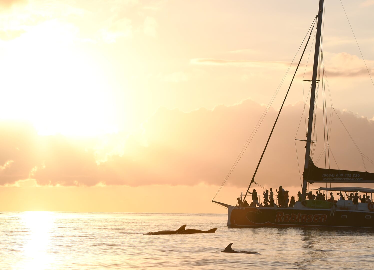sunrise and dolphins excursion