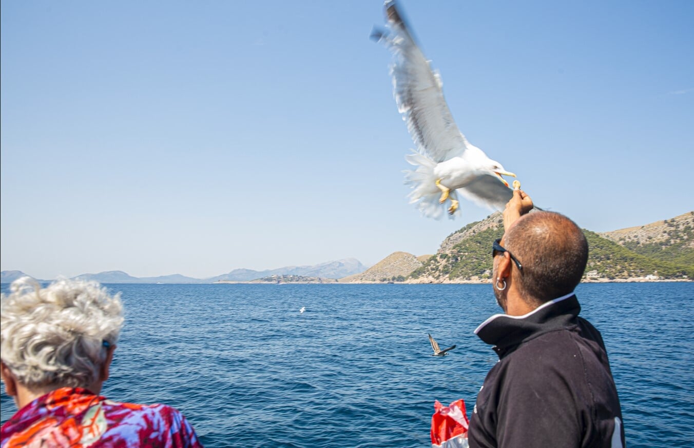 Rejs statkiem z lunchem