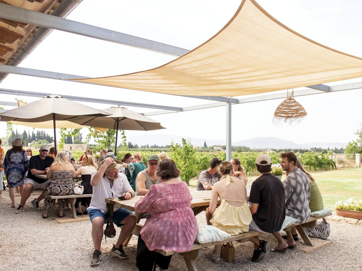 Spróbuj wina z Majorki