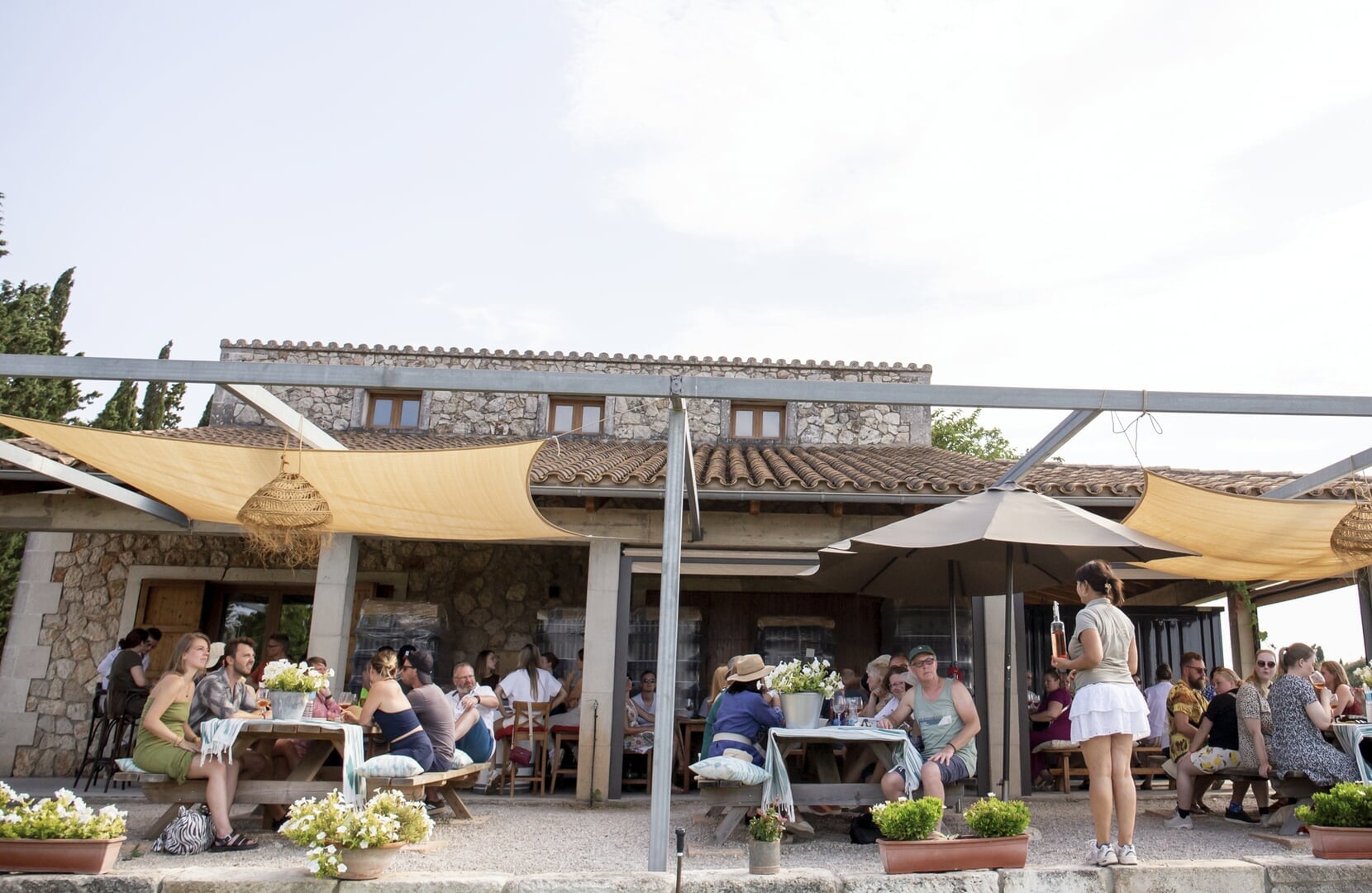 Zwiedzanie winnicy z przewodnikiem