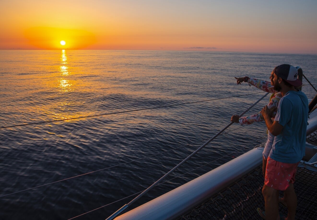 Wycieczka z delfinami z rodziną